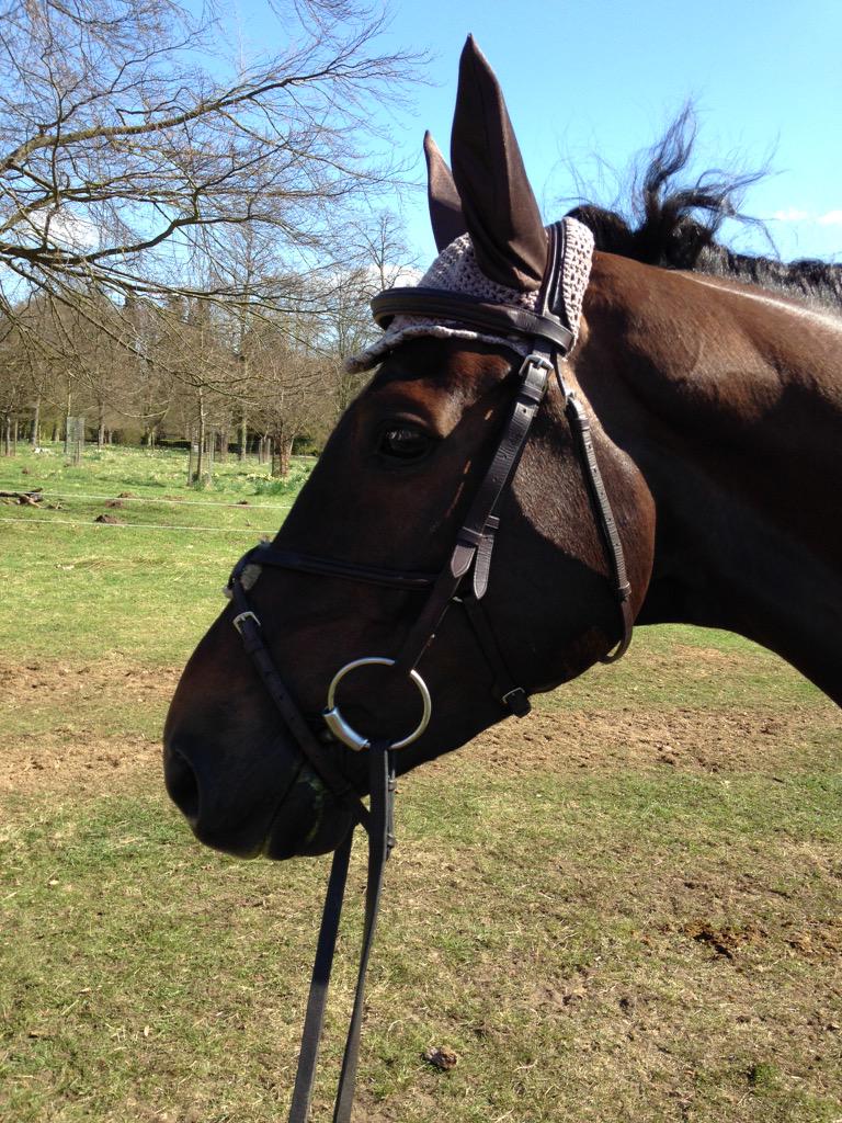 RachChapman24's tweet photo. So excited to be going to Poland to watch this beautiful boy chase some gold at the Junior Europeans. 🇬🇧 #Emill http://t.co/tyXk18s5d7