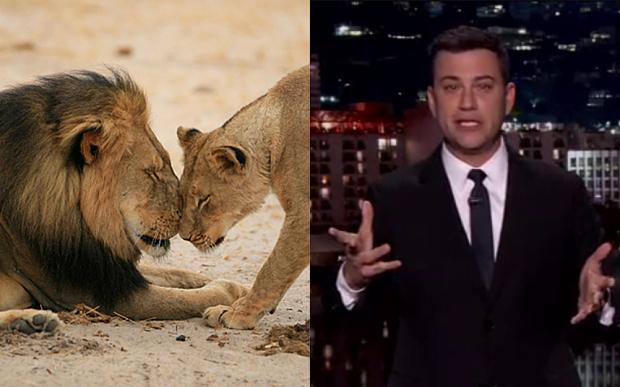 Telegraph's tweet photo. "Why are you shooting a lion in the first place?" Jimmy Kimmel breaks down over #CecilTheLion http://t.co/P4oHH9adlW http://t.co/i2ZtJLR2YE