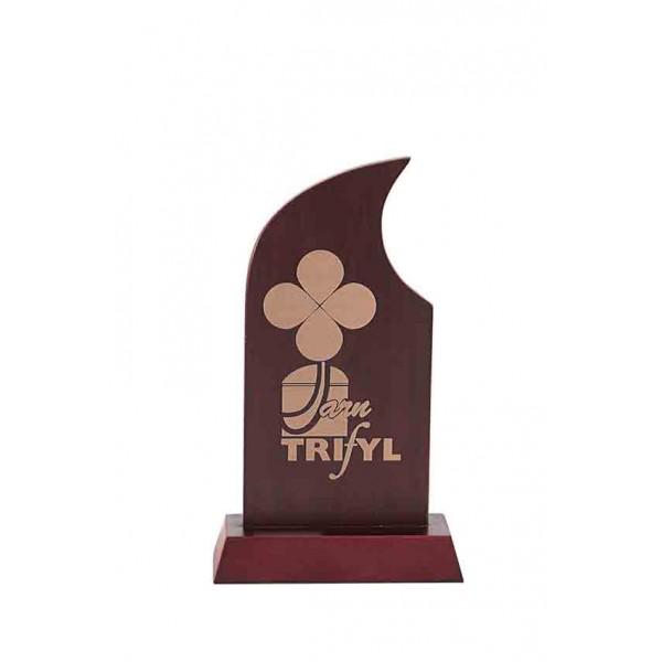 trofeosdelsur tweet media