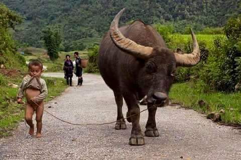 habibisilvia's tweet photo. Its a rough road that leads To The height of greatness.  Seneca http://t.co/5Qa4HggWDu