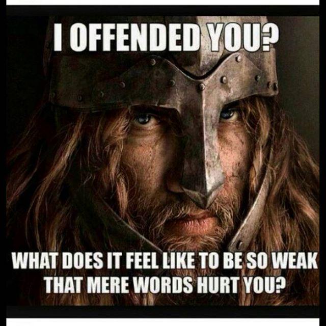 sonslibertytees's tweet photo. #sickguns #handgun #gunrights #freecounty #freedom #NRA #battleaxe #liberty #billofrights #constitution #donttreadon… http://t.co/AxOR9JgqNL