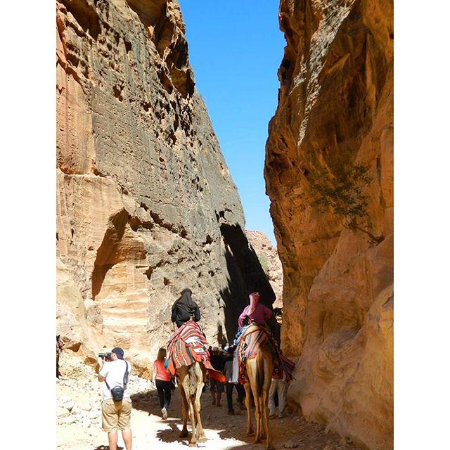 alexismalll's tweet photo. #Petra #CNNJordan #Jordania #Jordan hacia ciudadela de Petra, Jordania... http://t.co/Fzwd57slAa