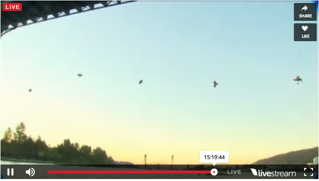 Watch the protest live on <a href="/KOINNews/">KOIN News</a> as kayaktivists and climbers block Shell from leaving for the Arctic #PDXvsShell