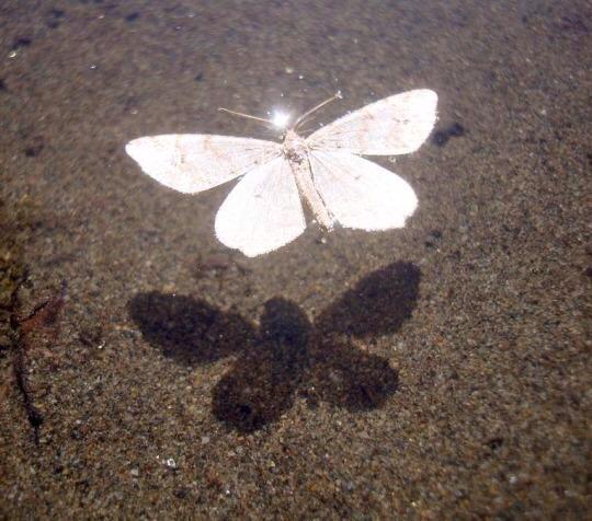 MonicaCarrillo's tweet photo. Luces y sombras. http://t.co/uUhKnRrTwf