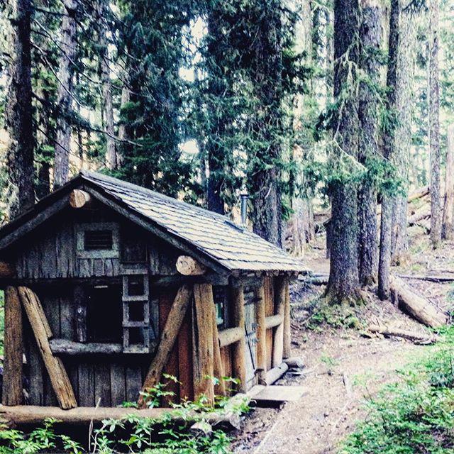 NatlParksPhotos's tweet photo. Yes please. #cabins #woods #lakes #mtrairai #mysummer #nationalparks #futurecabin #cabinsofinstagram #youwanttolive… http://t.co/eMfwP7aKRt