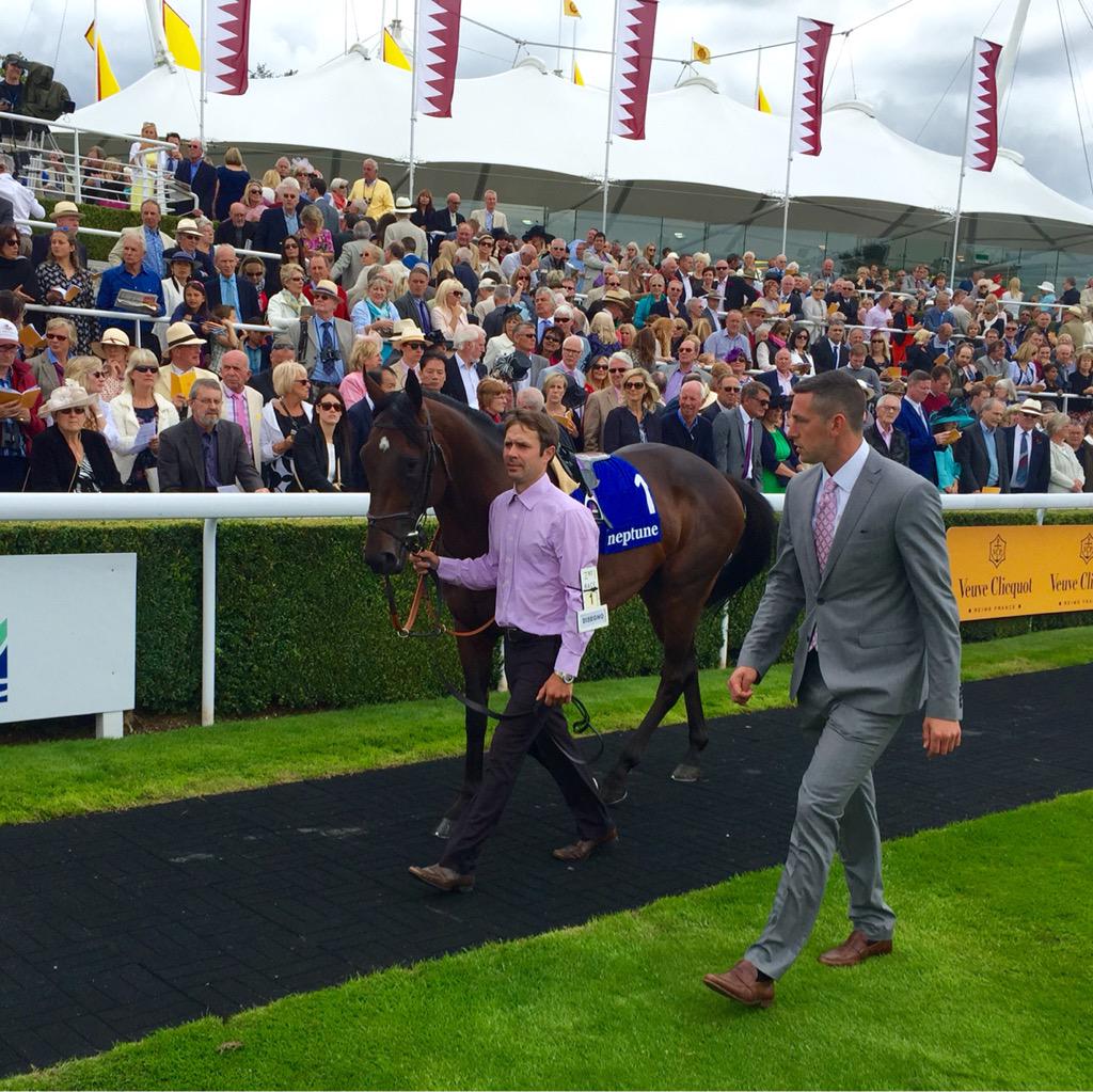 RacingTV's tweet photo. Sir Michael Stoute has won the #GordonStakes eight times and relies on Disegno.#QGF http://t.co/Si3oxVrMQG