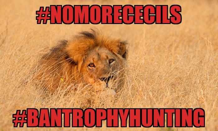 PROTECT ALL WILDLIFE tweet media