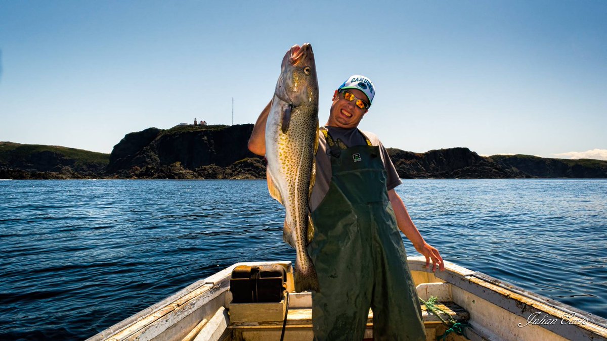 CBCNL's tweet photo. 35-pounder caught off Long Point, Twillingate by Julian Earle. Wow! #cbcnl http://t.co/oQSpTkRqe0