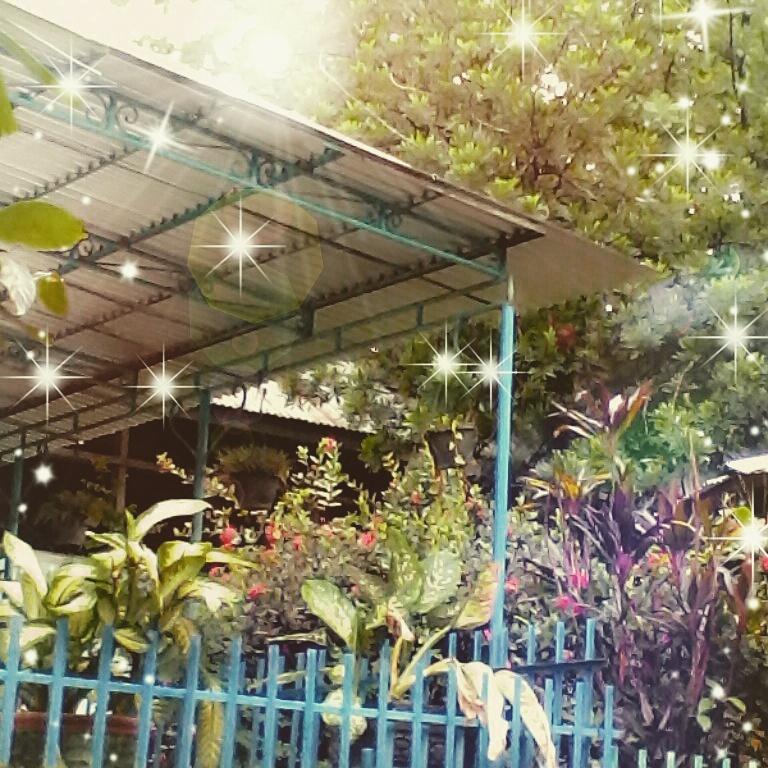 Nyimas_Tan26 tweet picture