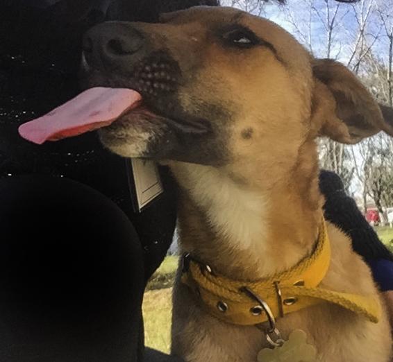 BESOS PARA TODOS #BuenMiercoles