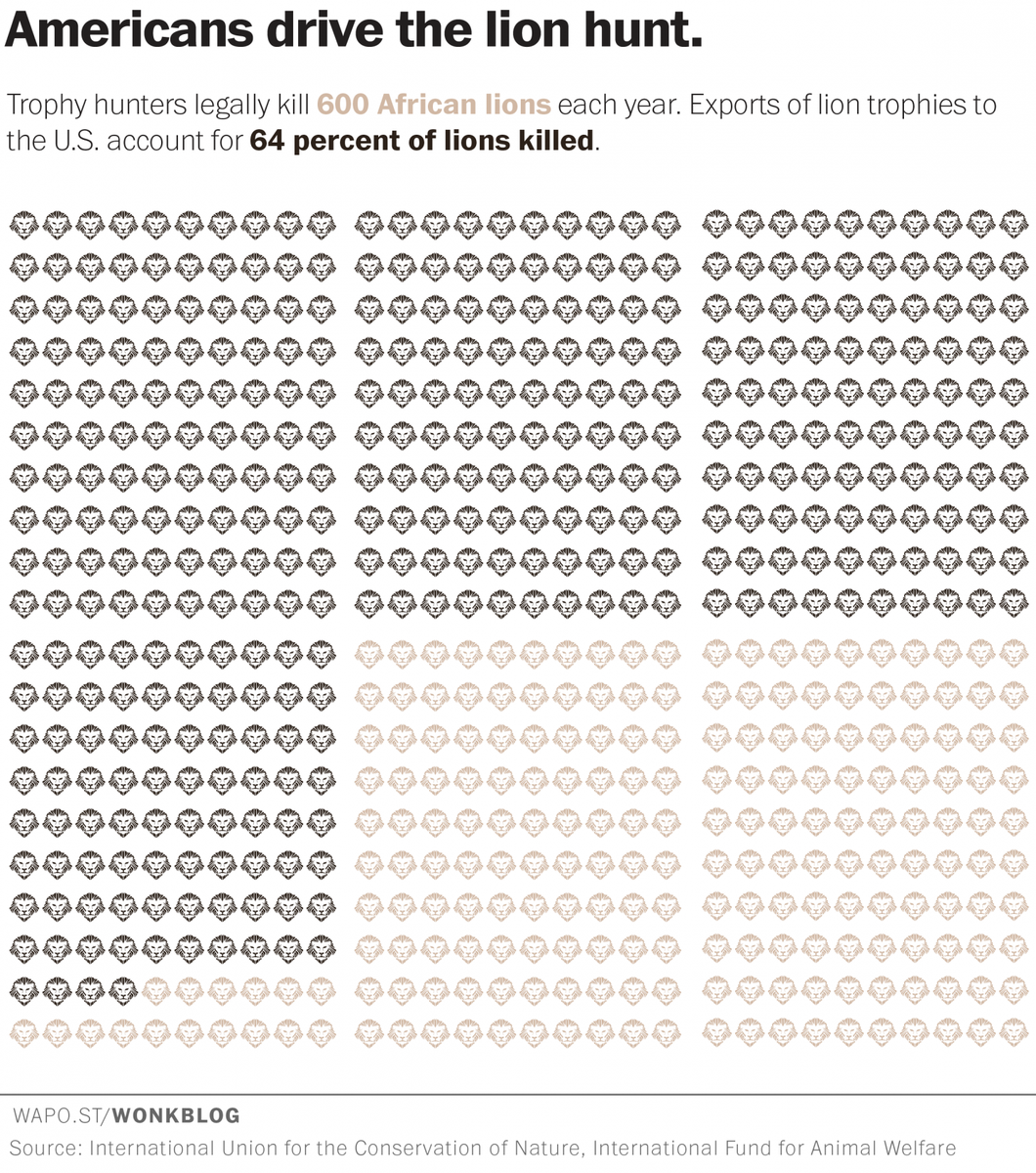 robferdman's tweet photo. This is a national embarrassment: 

Rich Americans kill 64% of African lions hunted for sport  http://t.co/tWDllbvnVn http://t.co/gjTvZZAt28