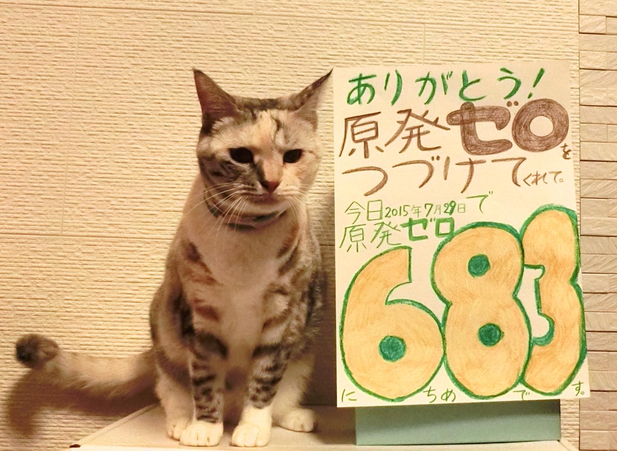 umediary's tweet photo. #原発ゼロカウントダウン
なんとしても、原発再稼働を止めたいのです。
化け猫になってでも、この思いを伝えたいのです。
吉田なな(ネコ・8歳、人間の歳にすると約50歳)
#本当に止める肉球で止める
#肉球なめんな http://t.co/RCfRp6da4L