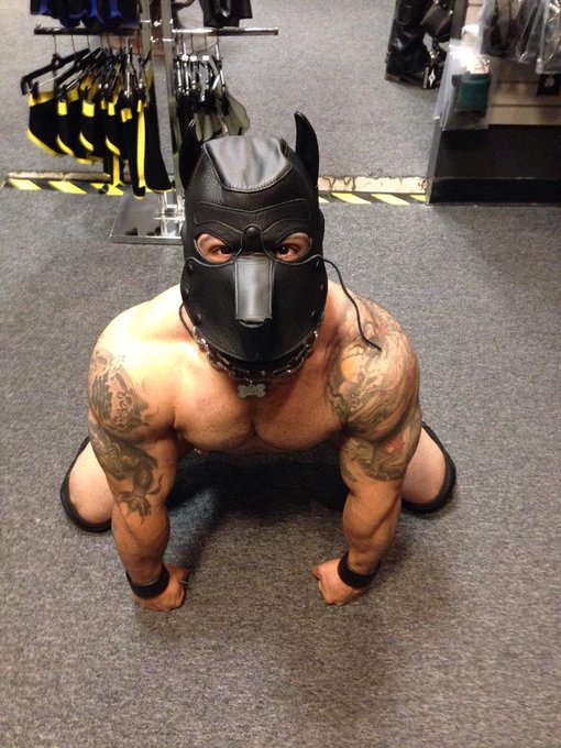 Oh man, who's gonna buy me this awesome mr. S puppy hood? #pupplay #mrsleather #dorealley http://t.c<a href="/tag/dorealley"class="tags"><span>#dorealley</span></a><a href="/tag/pupplay"class="tags"><span>#pupplay</span></a><a href="/tag/mrsleather"class="tags"><span>#mrsleather</span></a>