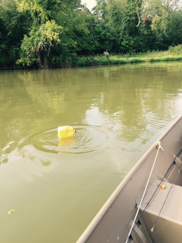 CoachPrattAU's tweet photo. Coop's first ever catfish on a jug! http://t.co/VoZlTUeKn1