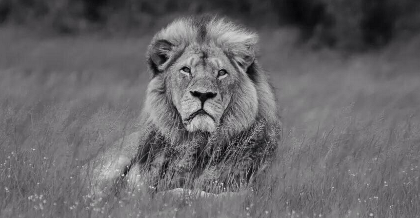 Brent Janse van Vuuren tweet media