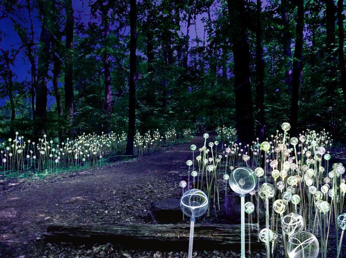 otherworlds_'s tweet photo. Bruce Munro: illuminating life. #art #landart #light #uk #garden #illussions #nature #darkness @bruce_munro http://t.co/ZMd26Y3cZh
