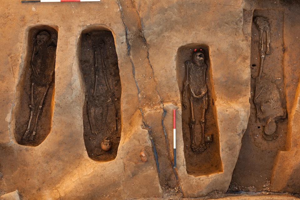 NMNH's tweet photo. Four lost leaders of Jamestown identified! New research w/ Jamestown Rediscovery: http://t.co/OBDdgtCUM3 #SIForensic http://t.co/QIvkzZY5LH