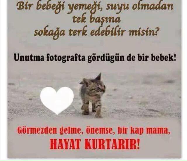 Su...#birkapsu