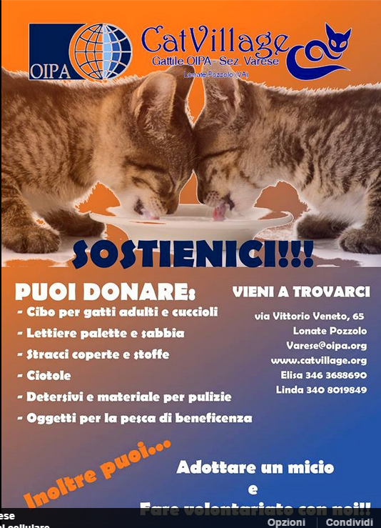 julylovescat's tweet photo. L’opera umana più bella è di essere utile al prossimo (Sofocle)
Aiutaci:
http://t.co/OopCzovjc4 
@retwittobene http://t.co/sF2vVI7ktz