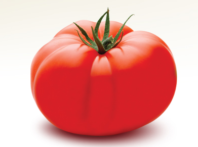VeggiePrime's tweet photo. True or false?  For optimal flavor, tomatoes should never be refrigerated. http://t.co/7PxWX1xm85