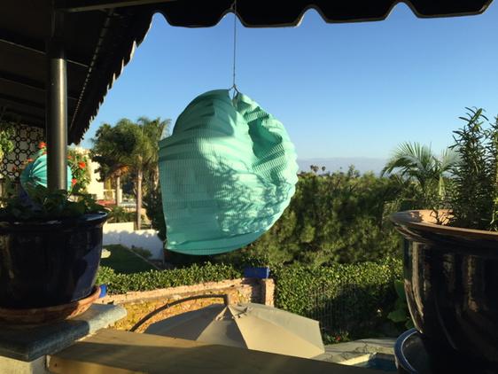 crackpotshel's tweet photo. Party decor FAIL #thanks Martha Stewart ! http://t.co/caad9a4vu0