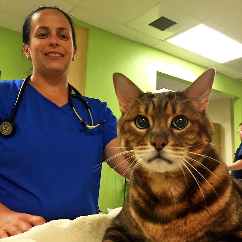 @RonAtDove George Vitt is giving Bella some competition in the "cutest pet to visit <a href="/DoveLewis/">DoveLewis</a>" this summer contest!