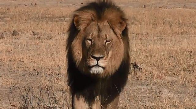 Patrice λ tweet media