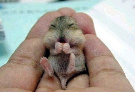 zPicture's tweet image. 