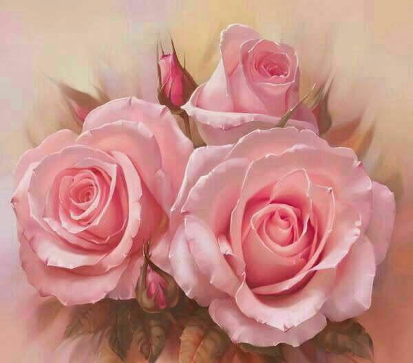hanwshayad's tweet photo. بيده نكى :- واتا بيويست بوون
واتا ئيش ، واتا ئازار
دروزنه ئه وه ى وتى بيده نكى نيشانه ى رازيبوونه ... http://t.co/b6hKB7EsDd