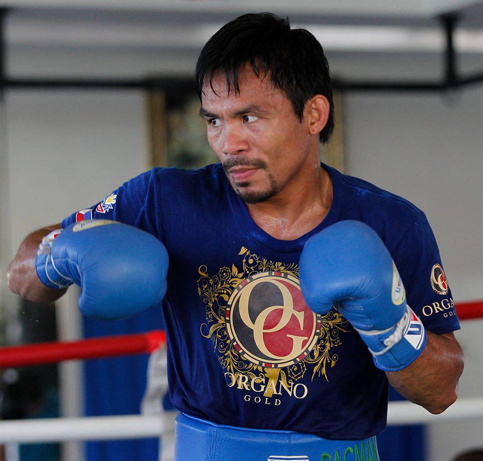 OrganoGold's tweet photo. OG and the Fighting Spirit http://t.co/LKjQwzdZAk #OGManny #OrganoGold http://t.co/CmyOr1SdU4