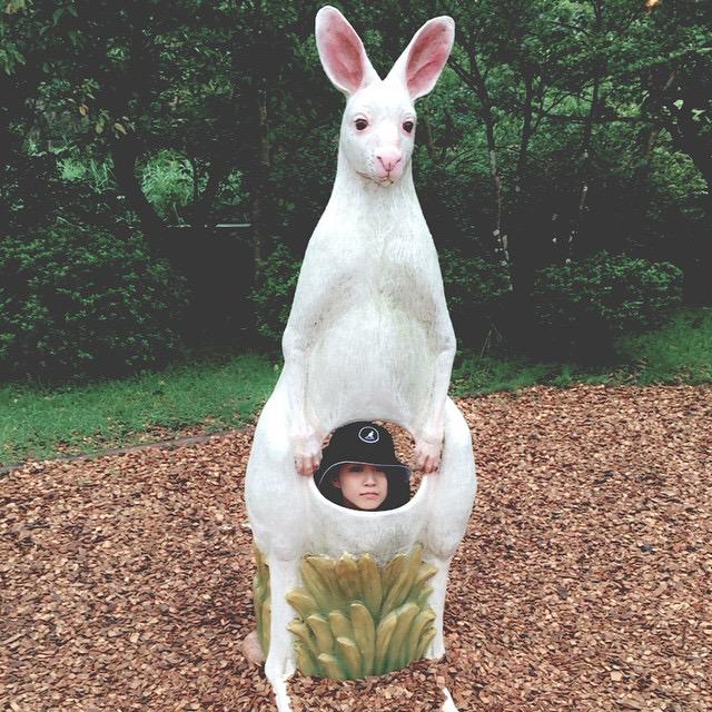 kangol kangaroo