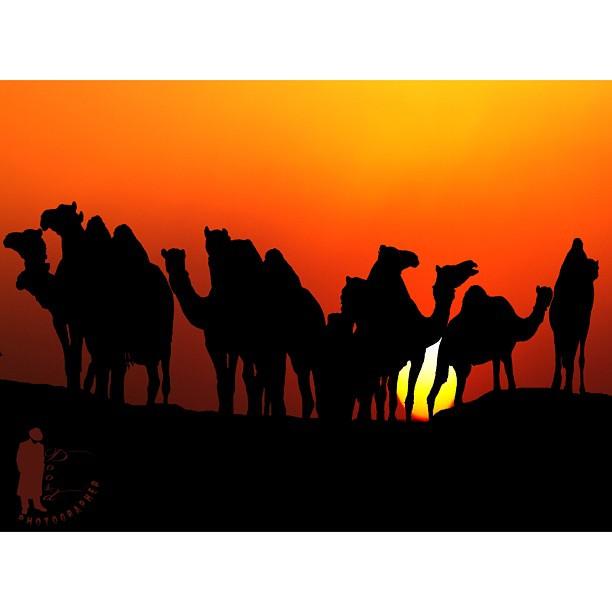 DhaferStudio's tweet photo. سلويت من الماضي
ارشيفي
#Doosd 👈📷👇 http://t.co/2emtTPjsxX