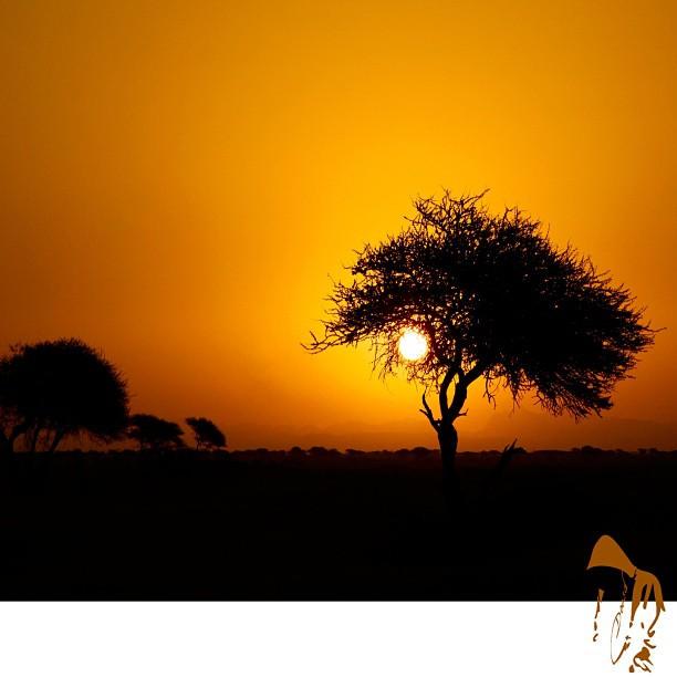 DhaferStudio's tweet photo. سلويت من الماضي
ارشيفي
#Doosd 👈📷👇 http://t.co/2emtTPjsxX