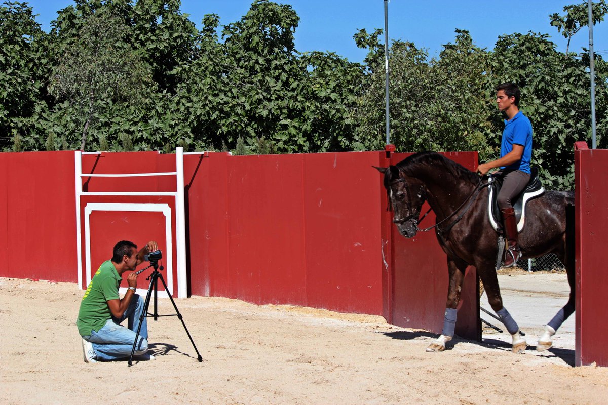 Emilio Trigo tweet media