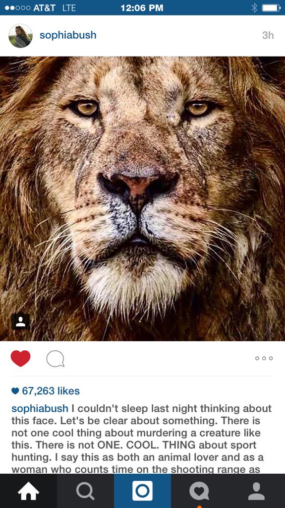 Mannyllorente's tweet image. Reasons to love @SophiaBush #beoutraged #CecilTheLion