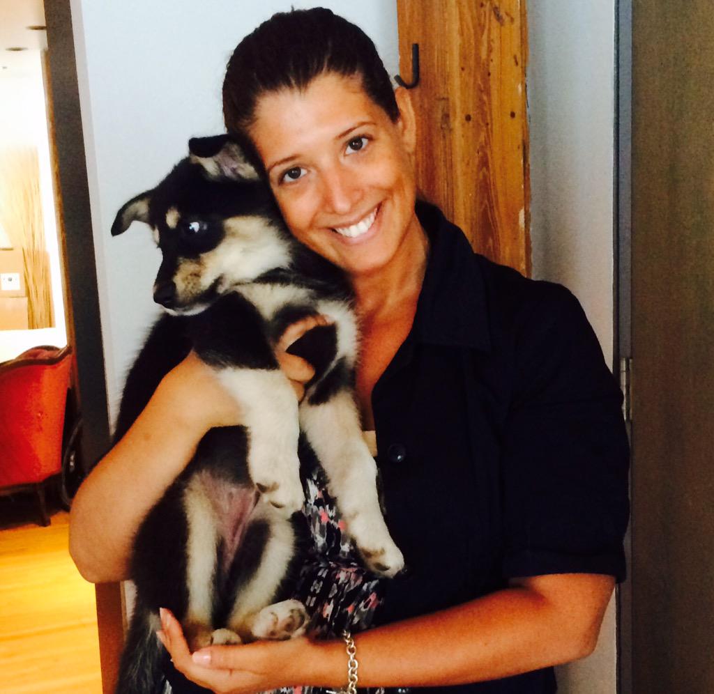 WhitePine_TO's tweet image. The White Pine staff had too much fun with the @RedemptionPups this morning! @RedemptionDogs @Davida_SWHMtl