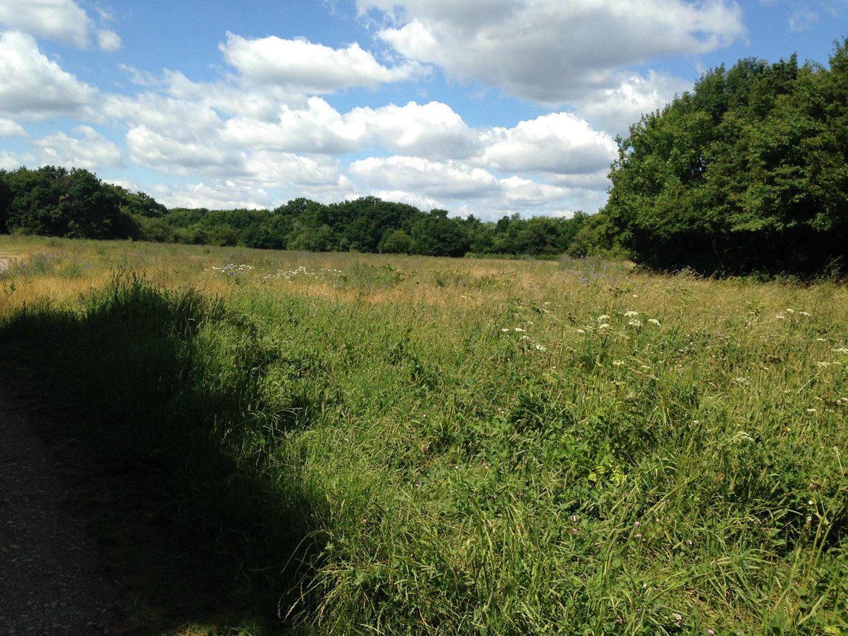 ACripps_AECOM's tweet photo. #629Wards: Bickley Ward, Jubilee Country Park, nr Petts Wood on the London Loop Saturday 25th July http://t.co/Z9NNkHA3ad