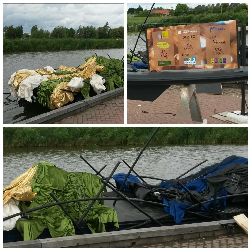 Concorde Orchids tweet media