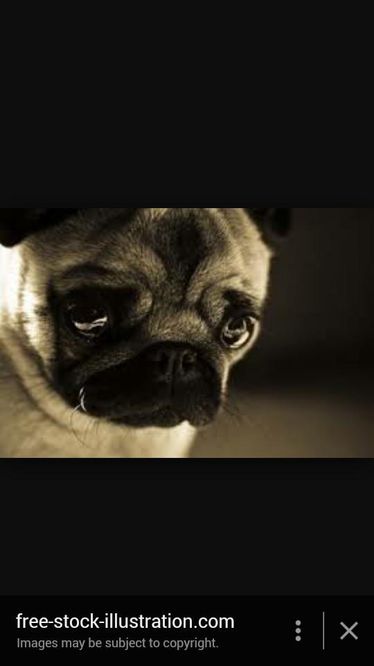 MeganProdoehl's tweet photo. http://t.co/5loLRe7C4P
