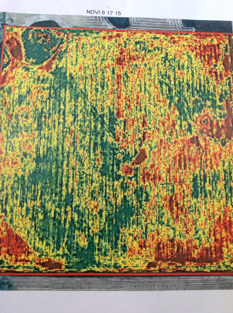 Satellites, drones, ground based measurements all add data for field crop management. #SKCDS15 #SaskAg