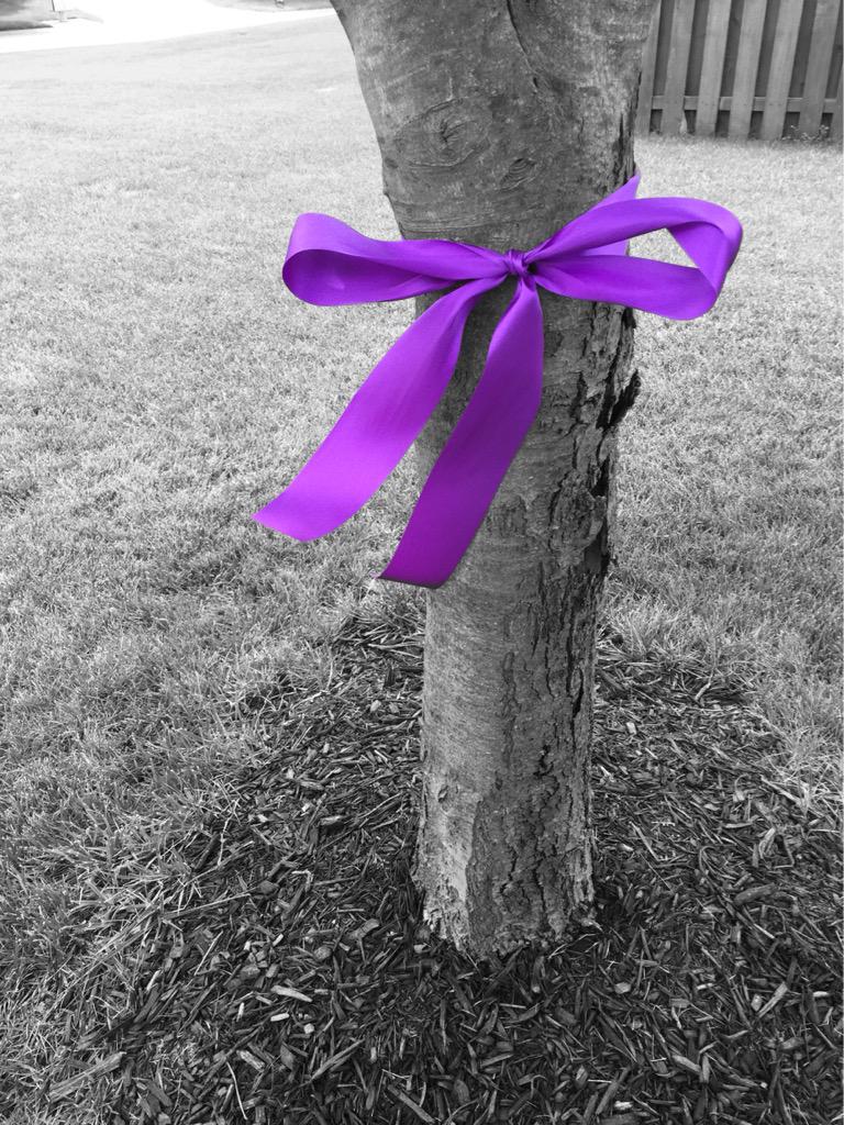 katiehorton28's tweet photo. Remembering a special girl on this special day. Happy birthday my sweet angel💜💛 #rememberMorgan http://t.co/OickepIj6A