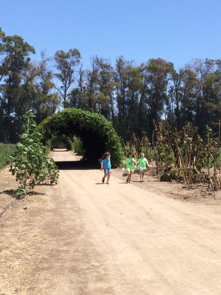 summersmashcamp's tweet photo. Great day at underwood farms! #minismash http://t.co/2sIiQh3uOr
