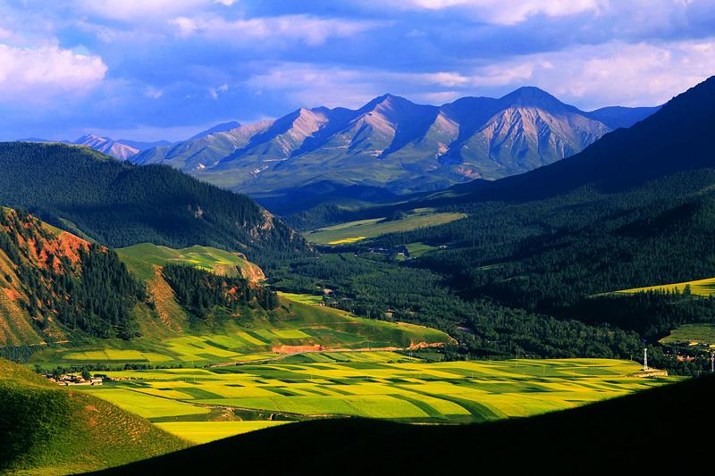 ChinaTopix's tweet photo. Blooming rape flowers on top of Zhuoer Mountain, located in Qilian county http://t.co/FEMazDxvM8