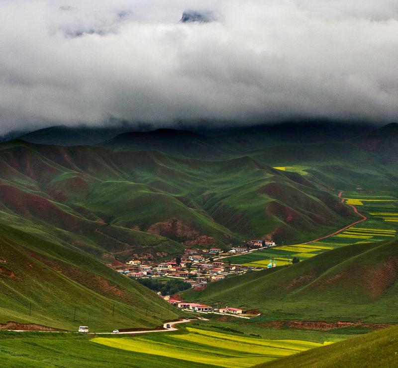 ChinaTopix's tweet photo. Blooming rape flowers on top of Zhuoer Mountain, located in Qilian county http://t.co/FEMazDxvM8