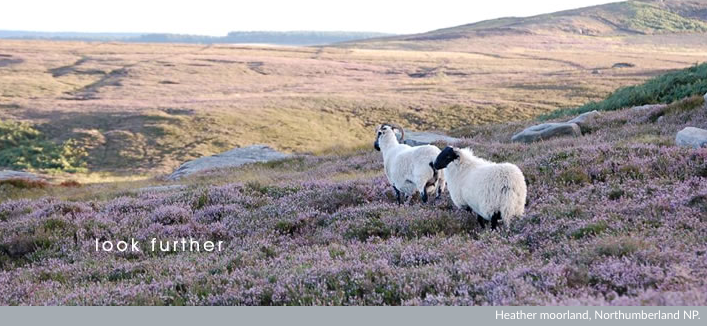 RedTractorFood's tweet photo. Pack up your sarnies &amp; escape to our beautiful British landscapes #NationalParksWeek ..http://t.co/DSaD824Htw http://t.co/D0QRvB39SL
