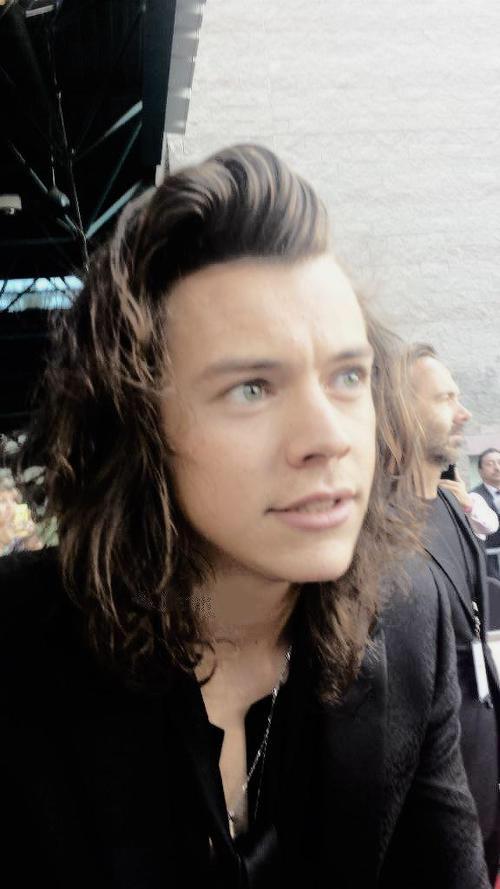 HARRYVARIANA's tweet image. The love of my whole life. My everything, my world. I love you so much. @Harry_Styles