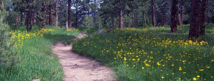 64Fixations's tweet image. @AdysArts @xImmortae @SunfuryCreative This may help: