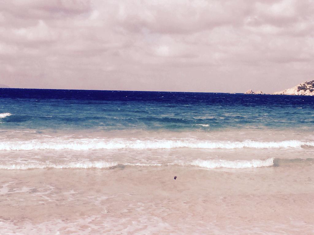 Discover Sardegna tweet media