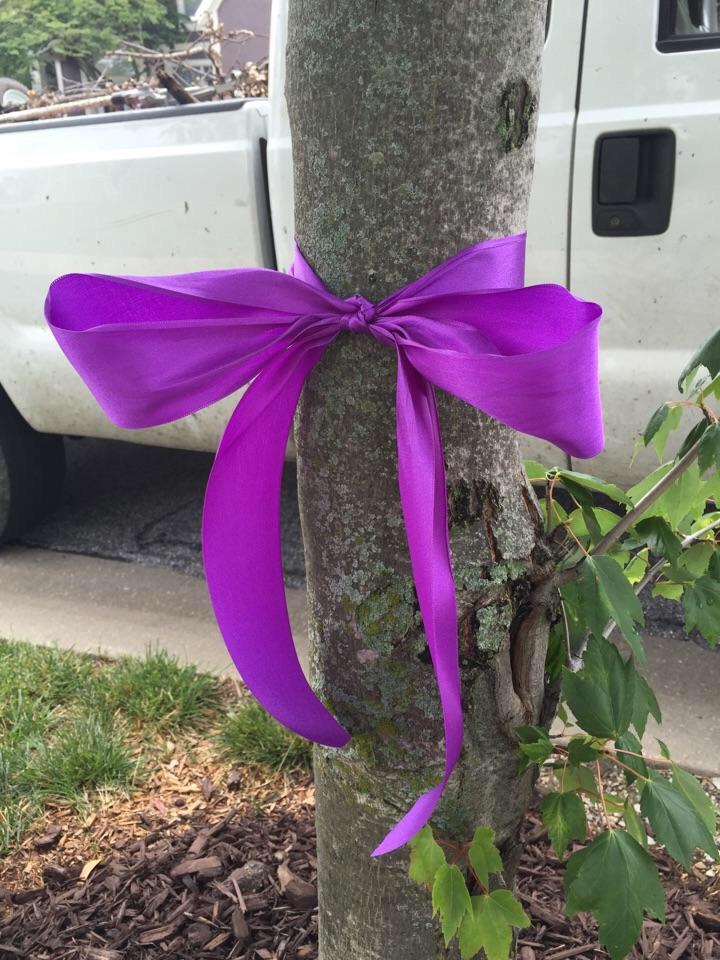 c0urtbach's tweet photo. Celebrating the birthday of a beautiful girl. We miss you and love you morgan💜🐒💛 #RememberMorgan http://t.co/mqlxTorKre