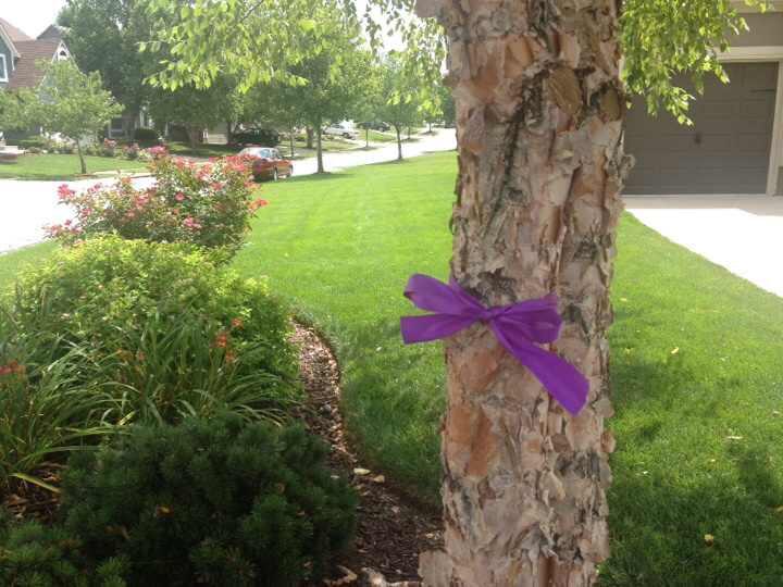 c0urtbach's tweet photo. Celebrating the birthday of a beautiful girl. We miss you and love you morgan💜🐒💛 #RememberMorgan http://t.co/mqlxTorKre
